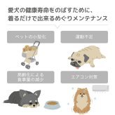 遠赤外線 犬服 温活 血行 シニア犬 日本製 LaLa Relax ララリラックス ベーシック めぐりメンテナンス 小型犬 中型犬 大型犬 チワワ プードル ダックス 柴犬 介護 部屋着 オールシーズン トンボ 伸縮 綿100％