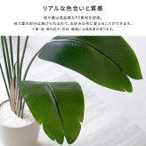 お手入れ簡単 フェイクグリーン ストレリチア Mサイズ(150cm) 新築祝い 開店祝い