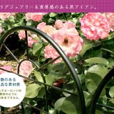ガーデン エクステリア クラシックフェンス ロータイプ 4枚組 フェンス ゲート 扉 アイアン ガーデニング 枠 柵 仕切り 目隠し 境目 クラシカル アンティーク トレリス ベランダ つる 薔薇 バラ 朝顔 園芸 ラティス 新生活