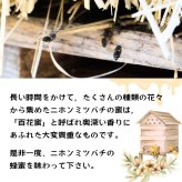 送料無料【数量限定！】 日本ミツバチ はちみつ 宮城県産 非加熱 生はちみつ 百花蜂蜜 百花蜜 希少 ニホンミツバチ にほんみつばち 国産