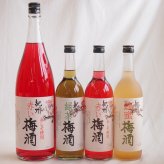 カラフル梅酒4本セット(赤しそ赤い梅酒(和歌山) 蜂蜜梅酒(和歌山) 緑茶梅酒(和歌山)) 1800ml×1本 720ml×3本