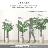 お手入れ簡単 フェイクグリーン ストレリチア Mサイズ(150cm) 新築祝い 開店祝い