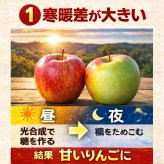 青森県産　りんご　ジョナゴールド　訳あり　3kg　送料無料！