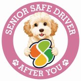 カーサイン 高齢者マーク SENIOR SAFE DRIVER ゴールデンドゥードル ステッカー シール 直径13cm 肉球 日本製 車