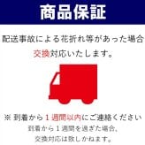 大輪 胡蝶蘭 3本立 白 18輪～33輪 選べる輪数 お祝い 開店祝い 開業祝い 就任祝い 法人