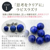 天然石 ピアス ラピスラズリ タイガーアイ オブシディアン【Auruna】 丸玉 10mm つけっぱなし 金属アレルギー対応 ステンレス パワーストーン