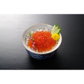 北海道産 いくら醤油漬け 9パック いくら 醤油漬け 冷凍 イクラ ご飯のお供