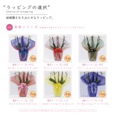 希少 純国産 胡蝶蘭 花持ち長い 中輪3本立ち 40輪～ 25,800円【煌華(きらか)】 黄色 画像配信あり 産地直送 お祝い 花 贈り物 母の日ギフト 縁起良い 商売繁盛 長寿祝 開店祝 開業祝 移転祝 就任祝 昇進祝 当選祝 当日発送 日本橋 銀座 王立園芸協会登録商品