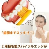 Ci PRO PLUS スパイラル 歯ブラシ Sやわらかめ 20本入 プロプラス スパイラル【Ciメディカル 歯ブラシ】【メール便選択で送料無料】