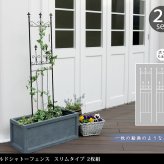 ガーデン エクステリア オールドシャトーフェンス スリムタイプ 2枚組 フェンス アイアン ガーデニング 枠 柵 仕切り 目隠し 境目 クラシカル アンティーク トレリス ベランダ つる 薔薇 バラ 朝顔 園芸 ラティス つるバラ 庭誘引 屋外 新生活