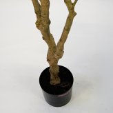 観葉植物 造花 レモンの木 BROWN 全高約220cm 大型 実付き フェイクグリーン 高級 本物そっくり リアル おしゃれ インテリア 人工観葉植物 アーティフィシャルグリーン シンボルツリー オフィス 店舗 カフェ 開店祝い 室内 リビング 玄関 風水 果樹 レモンツリー