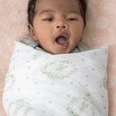 おくるみ スワドル 2枚セット 出産祝い aden+anais エイデンアンドアネイ ブラッシングバニーズ コットンモスリン ダブルガーゼ 大判 約112cm 新生児 退院 内祝い 出産内祝い 女の子 ギフト 専用ボックス入り ガーゼケット ブランケット 授乳ケープ おむつ替えシート 双子