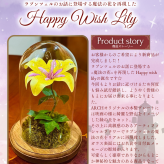 ラプンツェルの魔法の花☆HappyWishLily