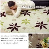 ラグ カーペット 3畳 洗える 抗菌 防臭 無地 『WSプランタ』 約200×250cm （ホット 対応）