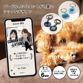 more me for message スマホをかざすと想いが溢れるデジタルメッセージ 【プードル】メッセージギフト  誕生日 記念日 プレゼント【送料無料】