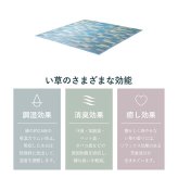 夏ラグ 夏用カーペット い草 畳 自然素材 カーペット ラグ インテリア 夏用 節電 無地 涼しい ブロック調柄 約180×180cm