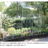 ガーデン エクステリア アイアンローズフェンス150「2枚組」 フェンス アイアン ダークブラウン ガーデニング 枠 柵 仕切り 目隠し 境目 クラシカル アンティーク トレリス ベランダ つる 薔薇 バラ 朝顔 園芸 ラティス つるバラ 新生活