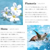 ハワイアンジュエリー ホヌ ブレスレット 花 ホヌ プルメリア 長さ調節可能 シルバー925 ロジウムコーティング ジルコニア パーツ アジャスター 彼女 妻 女性 レディース 誕生日 プレゼント ハロウィン 【品番：SBR3588】
