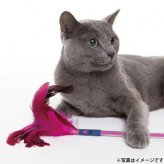 ジョイサー JOYSER フェザーワンド 猫用おもちゃ ピンク