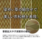 夏ラグ 夏用カーペット い草ラグ 花ござ カーペット ラグ 3畳 格子柄 市松柄 『DXピーア』 本間3畳 (約191×286cm） 裏:不織布
