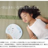 夏ラグ 夏用カーペット 純国産 い草 上敷き カーペット 市松織 『不知火』 団地間6畳(約255×340cm） 熊本県八代産イ草使用