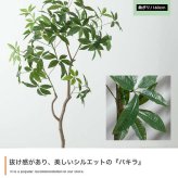 【高さ160cm】光触媒人工観葉植物 パキラ 曲がり 幅72cm×奥行50cm×高さ160cm オフィス 天然木 組立品 お部屋に気軽に飾れて空間を美しく彩るフェイクグリーン 本物の植物のようなリアルな質感とインテリアに馴染む風合いが魅力です