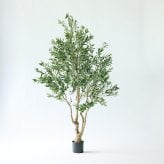 観葉植物 造花 オリーブ BROWN 全高約230cm 大型 古木風 フェイクグリーン 高級 本物そっくり リアル おしゃれ インテリア 人工観葉植物 アーティフィシャルグリーン シンボルツリー オフィス 店舗 ホテル カフェ 開店祝い 室内 リビング 玄関 風水 オリーブの木