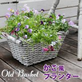 プランター おしゃれ アンティーク バスケット型 かご風 幅38.5cm 横長 植木鉢 鉢カバー マグネシウム 底穴あり 屋外 ベランダ 玄関 寄せ植え ガーデニング 石調 ホワイト 完成品 フラワーポット イングリッシュガーデン オールドバスケット