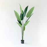 観葉植物 造花 カンナ BROWN 全高約195cm 大型 フェイクグリーン 高級 本物そっくり リアル おしゃれ インテリア 人工観葉植物 アーティフィシャルグリーン 南国 リゾート オフィス 店舗 ホテル 開店祝い 室内 リビング 玄関 風水 フェイク