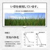 い草 スツール クッション 腰掛け さらさら 消臭 シンプル 約40R×45cm