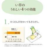 枕 まくら い草枕 消臭 ピロー 国産 無地 ベビー キッズ 『さわやか 平枕』 約30×20cm お子様にも安心 国産い草枕 さわやか平枕 抗菌 防臭 ポリエステル 綿 枕寝具 寝具用品 寝室用 寝室用品 インテリア 綿100% 肌触り 柔らか 吸湿