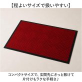 玄関マット 屋外 泥落とし 通販 玄関 マット ドアマット 泥落としマット 足元マット 洗える 室内 大判 大きめ ゴム 滑り止め 長方形 ズレない シンプル 清潔 おしゃれ かわいい インテリア