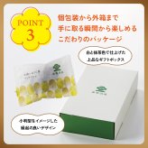 茶寮翠泉｜フィナンシェお濃いほうじ茶(5個入) 京都 宇治 ほうじ茶 スイーツ 焼菓子 詰め合わせ 個包装 常温 お取り寄せ 贈り物 プレゼント ギフト お祝い 内祝い 母の日 父の日
