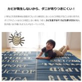 ラグ カーペット タイポグラフィ 洗えるポリプロピレン 『トリド』 約174×174cm 新生活