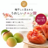 梅干し 紀州南高梅 つぶれ梅 1.7kg 850g×2パック 塩分約3% 減塩 しそ漬け 和歌山県産 赤しそ 紫蘇漬け 大粒 訳あり 紀州 お徳用 果肉たっぷり ご飯のお供 ギフト