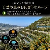 みかん 5kg 贈答用 秀品 特選 送料無料 和歌山 S M 小粒 中粒 手詰め 有田みかん 温州みかん 約40個～60個入ります ご当地 お出産内祝い 贈答 ギフト 誕生日 結婚祝い 出産祝い 内祝い ギフト
