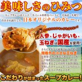 富良野市場 ゴロッと玉ねぎと骨付きチキンのスープカレー 2袋 スープカレー 惣菜 温めるだけ レンチン ご飯のお供 おかず ポスト投函便