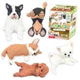 【5種類セット】 エール ガチャ ふちやすみ ～いろいろわんこ～ コンプリート 中身 ガチャガチャ