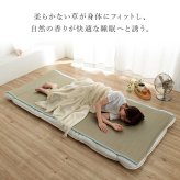 シーツ 敷きパッド 国産 日本製 さらさら 吸汗 調湿 消臭 お手入れ簡単 らダブル 約130×200cm 新生活