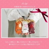 名入れ タオル ハンカチ 刺繍 泉州タオル プチシリーズ プチギフト くま ベア ベアー タオルハンカチ 刺繍 名前入り 出産祝い かわいい お返し プレゼント ハンドタオル 花 花束 日本製 お誕生日 退職祝い 退職 送別会 法人 お見舞い 卒業 結婚祝い 定年 おしゃれ 入学祝い 10000007