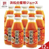 浜松の蜜柑 果汁100％ ジュース 12本 みかんジュース 食品添加物無添加 柑橘ジュース【沖縄県・離島 配送不可】