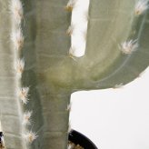 観葉植物 造花 柱サボテン BROWN 全高約76cm 卓上・小型 フェイクグリーン 本物そっくり おしゃれ インテリア 人工観葉植物 アーティフィシャルグリーン オフィス 店舗 ホテル 開店祝い 室内 ミニ サボテン カクタス フェイク