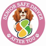 カーサイン 高齢者マーク SENIOR SAFE DRIVER キャバリアキングチャールズスパニエル ステッカー シール 直径13cm 肉球 日本製 車