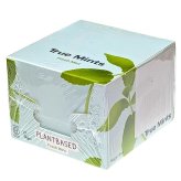 True Mints Fresh Mint　18パック（13g×18）234g　キシリトール配合　ミントタブレット　オランダ産　清涼菓子　砂糖不使用　個包装　#63051　True Gum