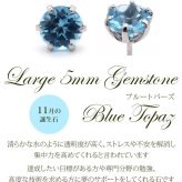 つけっぱなし ピアス プラチナ 900 ブルートパーズ 5mm 天然石 誕生石 日本製 【品質保証書つき】 セカンドピアス メンズ レディース 1個ずつバラ売り プレゼント