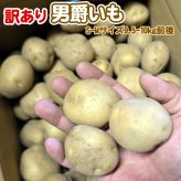 じゃがいも 訳あり北海道 じゃがいも 男爵いも S-Mサイズ 9.5-10kg前後 送料無料 ※沖縄は送料別途加算
