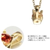 ガーネット ネックレス K14 ゴールド ネックレス ハワイアンジュエリー ネックレス 14K K14ゴールド 14金 イエローゴールド ピンクゴールド ホワイトゴールド 1月誕生石 一粒 ギフトラッピング可能 BYTHESEA プレゼント ハロウィン 【品番：CG-GP501-1】