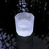 【結霜月華】一対来徳 華雪 220ml