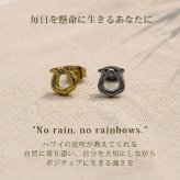 ピアス 金属アレルギー対応 馬蹄 モチーフ ハワイアンジュエリー 片耳用 1個売り サージカルステンレス 316L 大ぶり ホースシュー ゴールド シルバー 大人 おしゃれ ギフト