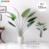 お手入れ簡単 フェイクグリーン ストレリチア Sサイズ(120cm) 新築祝い 開店祝い